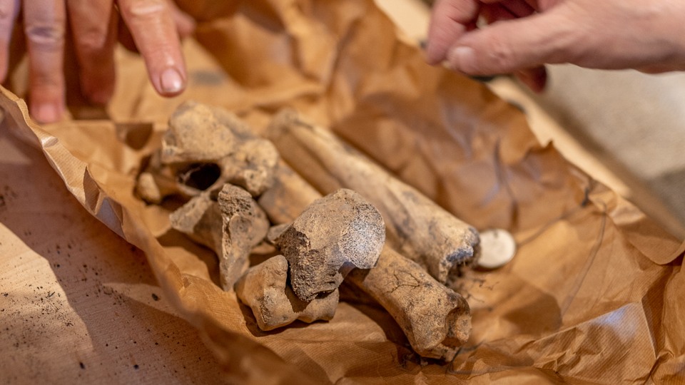 Arkeologiska fynd i form av benrester ligger i en brun påse