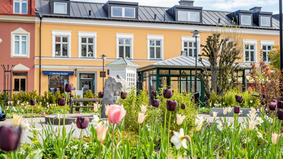 Grodfontän i sten och grönskande vårblommor och träd.